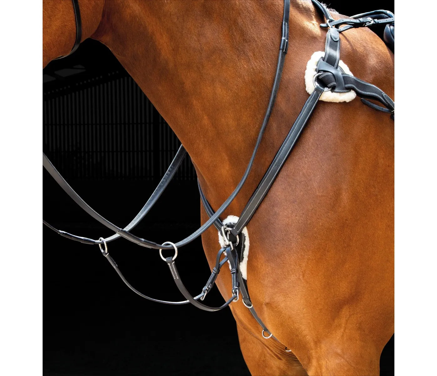 Salisbury 5 Point Breastplate