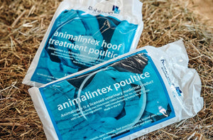 ANIMALINTEX BANDAGE - CUSTOMER ORDER ONLY