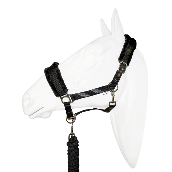 EquiStyle Galaxy Halter with Lead