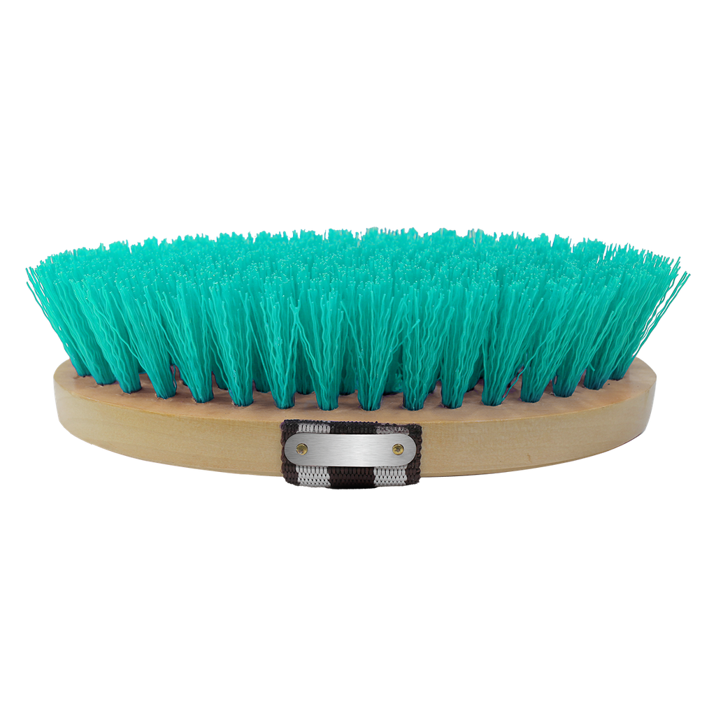 Hard Bristle Body Brush