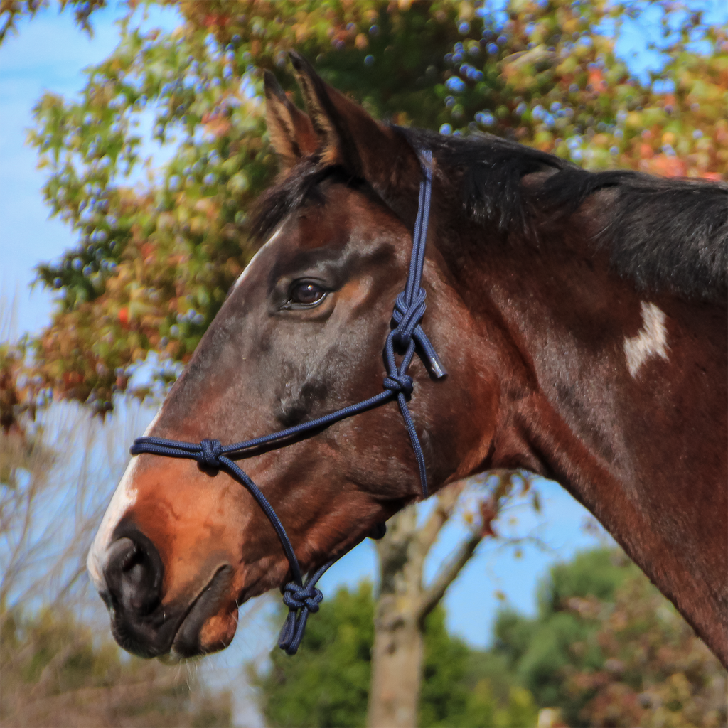 Knotted Rope Halter 8mm, Equistyle