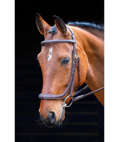 Salisbury Berkeley Bridle