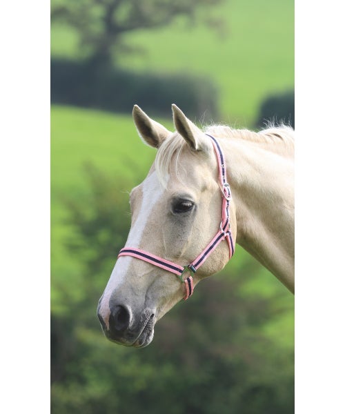 Wessex Headcollar