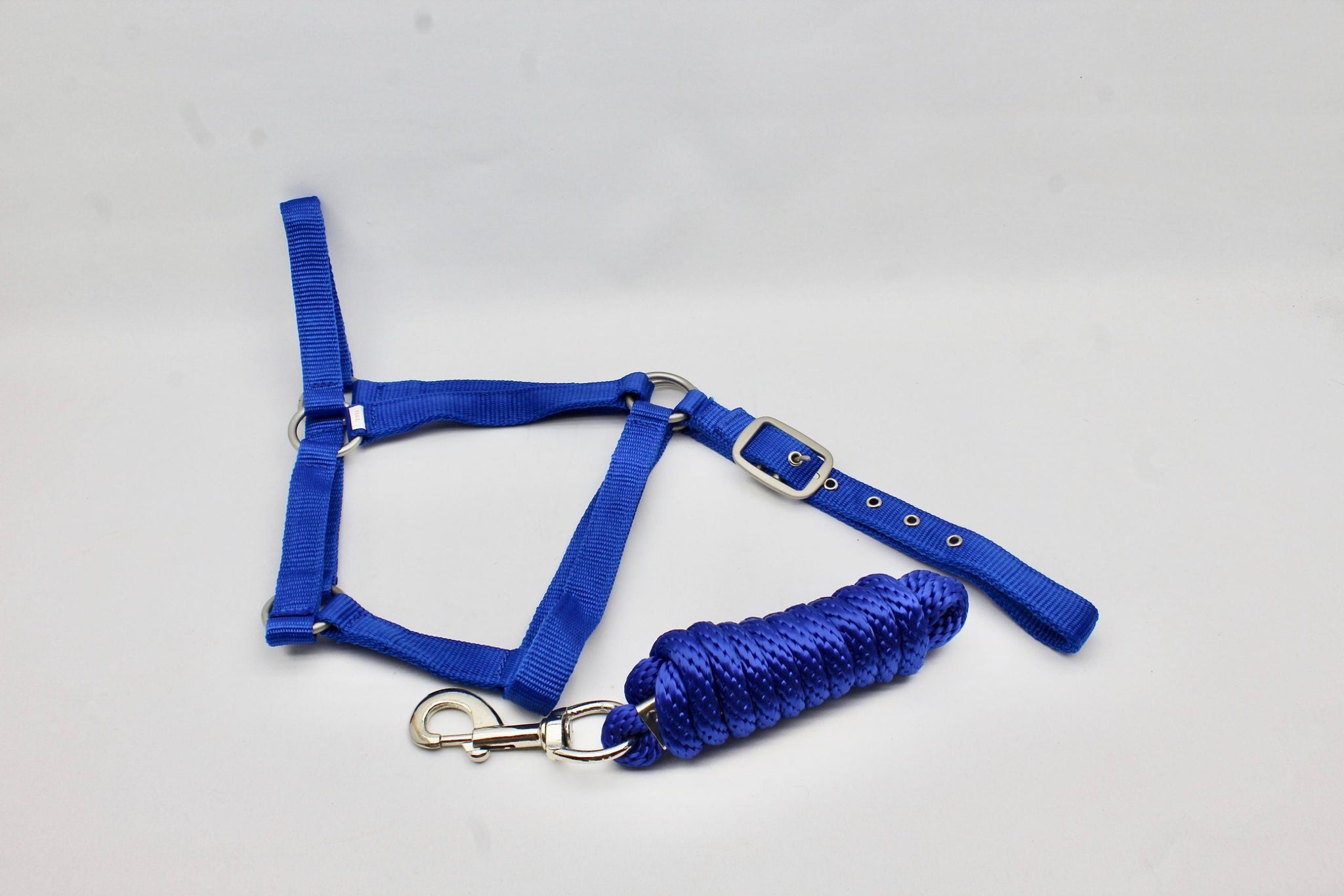 Padded Halter with Rope Lead