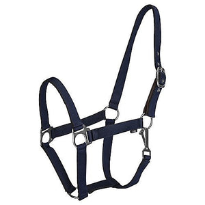 Padded Halter with Rope Lead