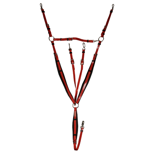 Regus Endurance Bridle Set